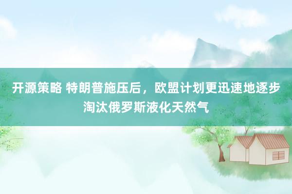 开源策略 特朗普施压后，欧盟计划更迅速地逐步淘汰俄罗斯液化天然气
