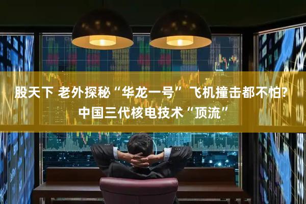 股天下 老外探秘“华龙一号” 飞机撞击都不怕? 中国三代核电技术“顶流”